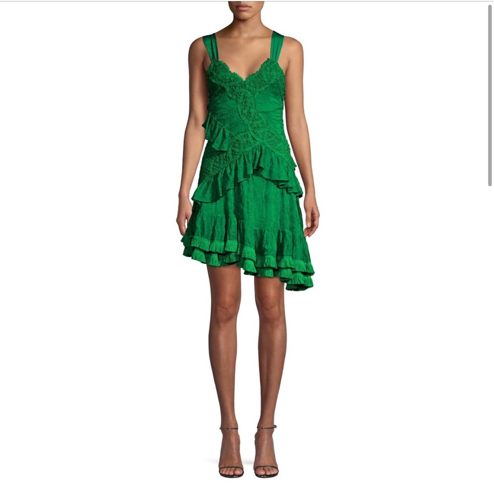 Lakshmi Ruffle Lace Mini Dress